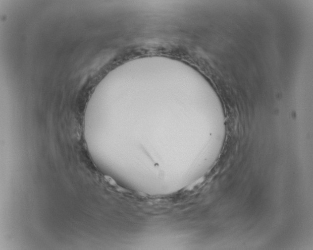 X0000069391253200606091708