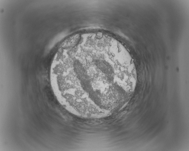 X0000069391255200606091708