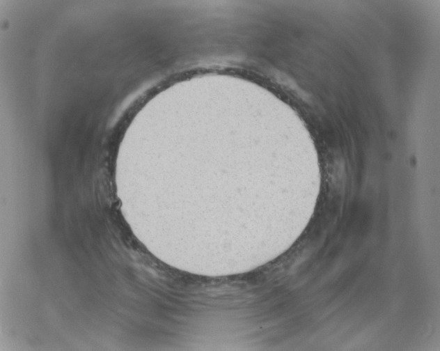 X0000069391256200606091708