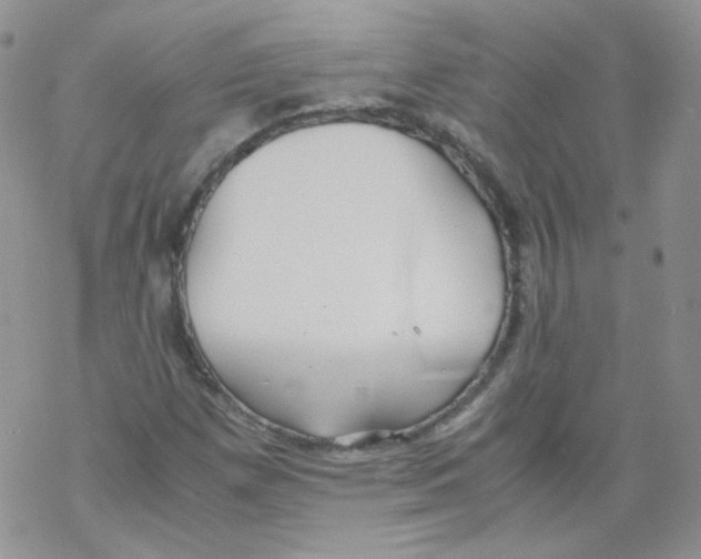 X0000069391257200606091708