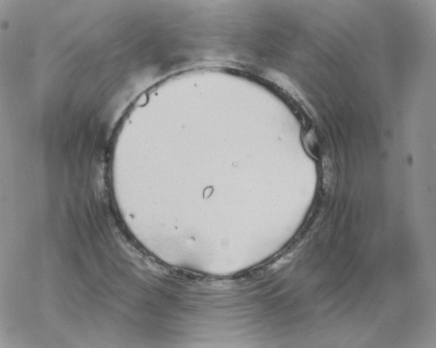 X0000069391260200606091708