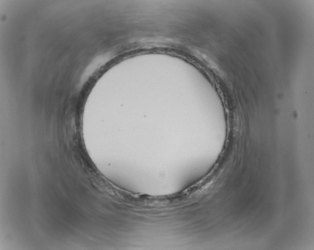 X0000069391261200606091708