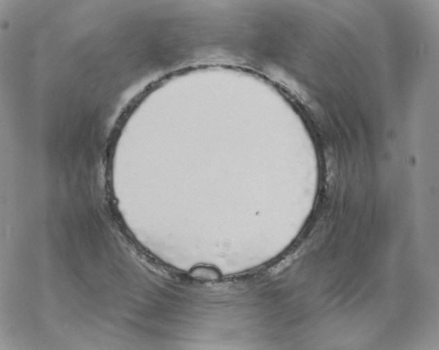 X0000069391264200606091708