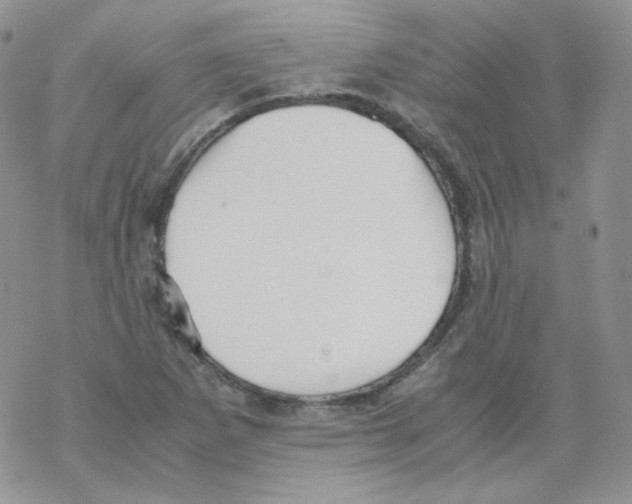 X0000069391265200606091708