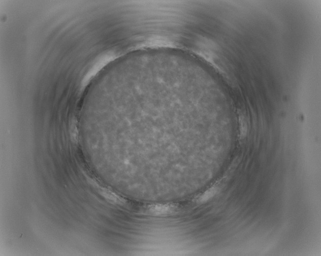 X0000069391266200606091707