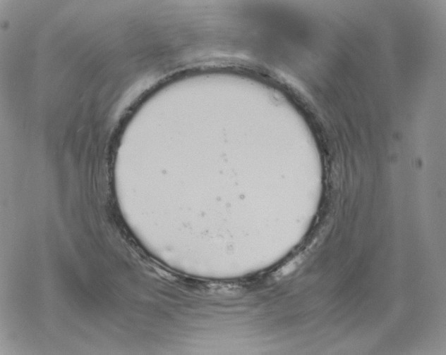 X0000069391267200606091707