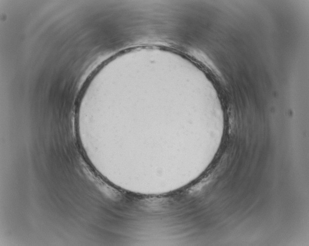 X0000069391268200606091707