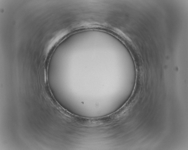 X0000069391269200606091707