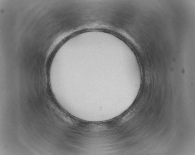 X0000069391270200606091707