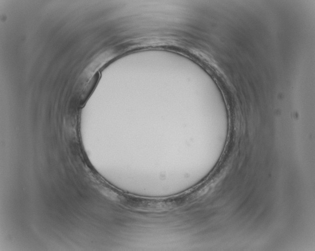 X0000069391273200606091707