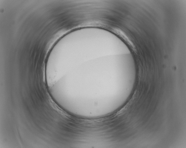 X0000069391276200606091707