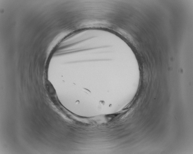 X0000069391277200606091707