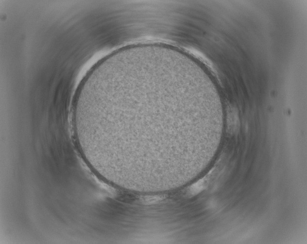 X0000069391278200606091707