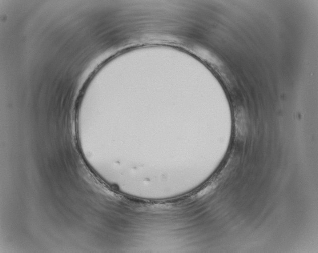 X0000069391280200606091707