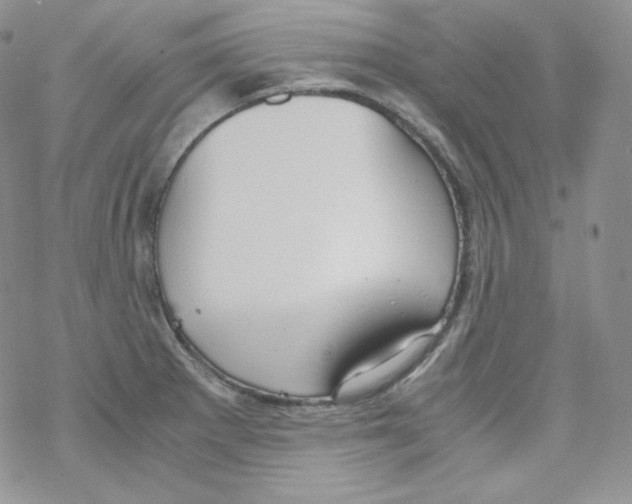 X0000069391281200606091707