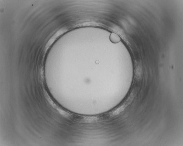 X0000069391282200606091707