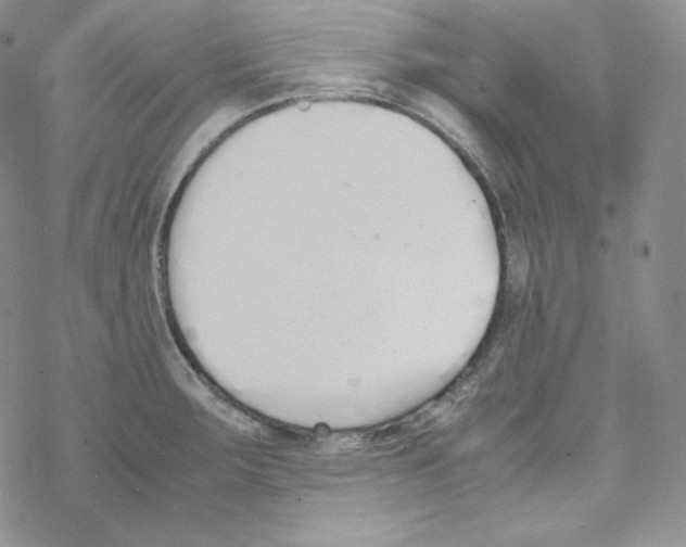 X0000069391283200606091707