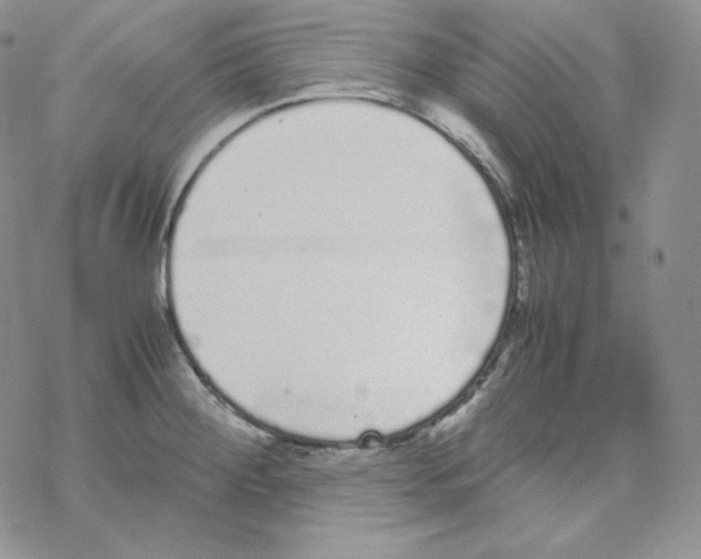 X0000069391284200606091707