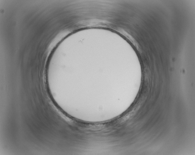 X0000069391285200606091707