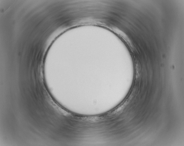 X0000069391288200606091707