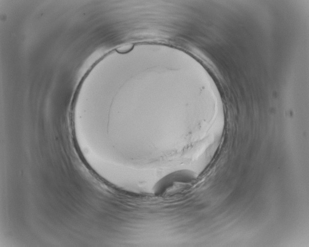 X0000069391291200606091707