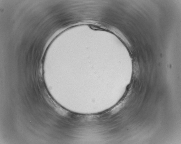 X0000069391292200606091707