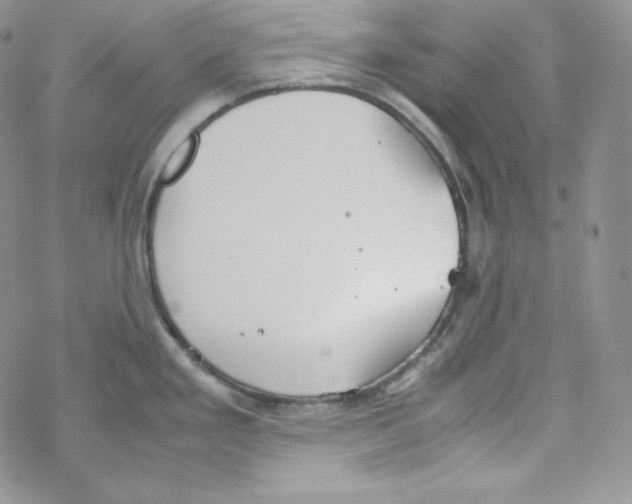 X0000069391293200606091707