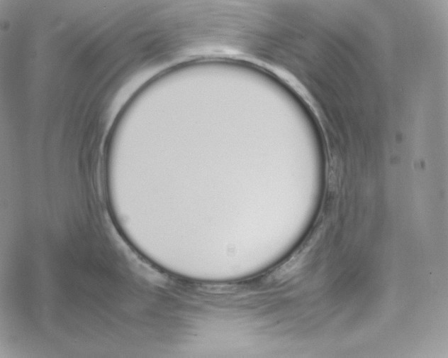 X0000069391295200606091707