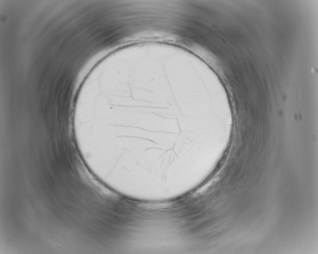 X0000069391296200606091707