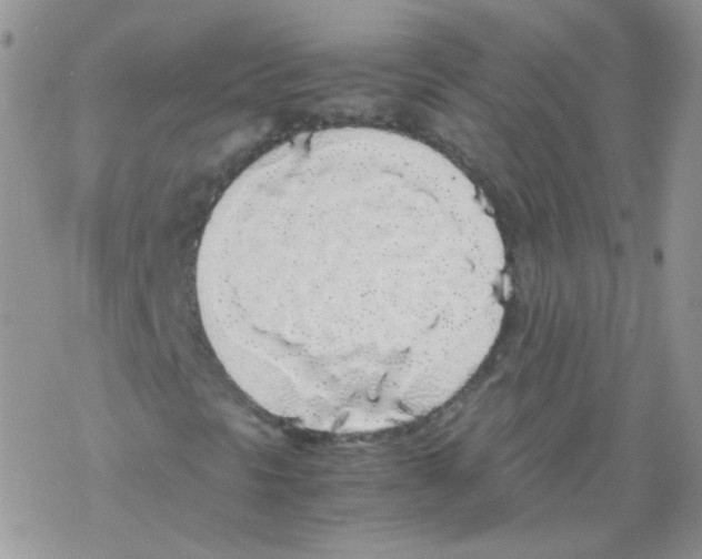 X0000069391297200606091706