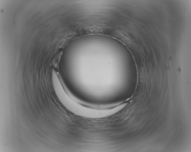 X0000069391298200606091706