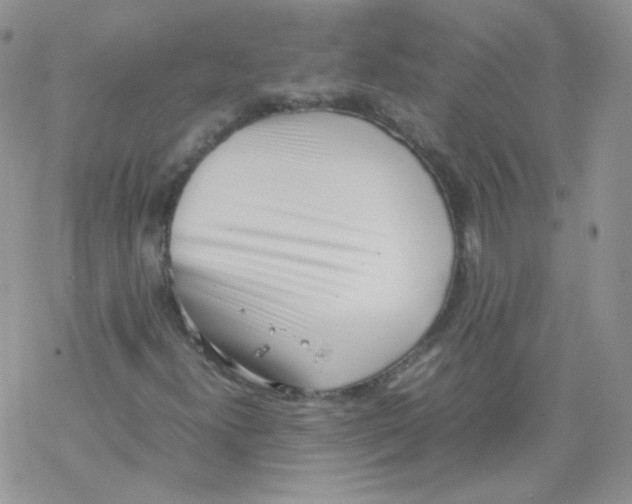 X0000069391300200606091706