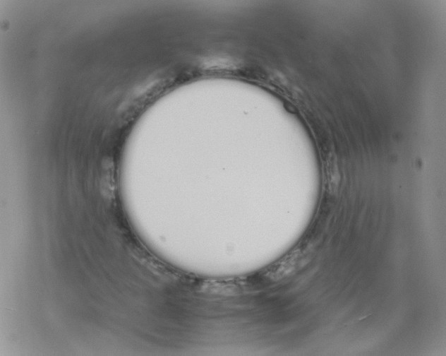 X0000069391301200606091706