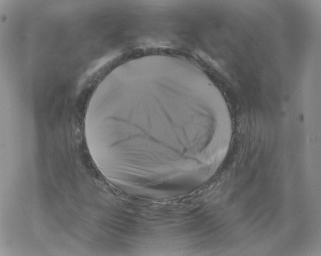 X0000069391303200606091706