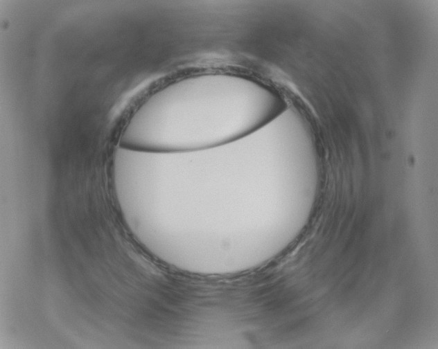 X0000069391304200606091706