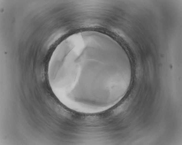 X0000069391306200606091706