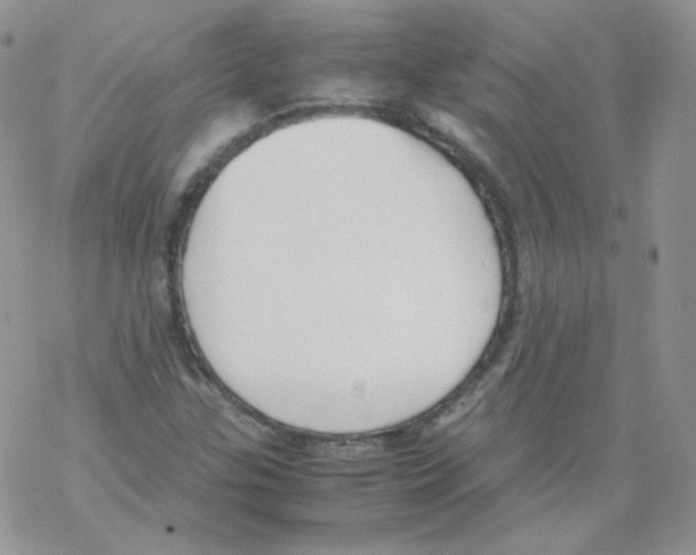 X0000069391307200606091706