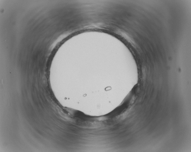 X0000069391308200606091706