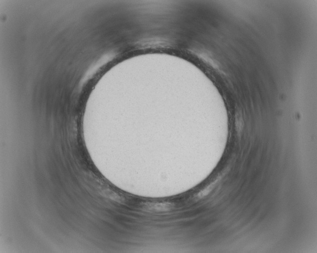 X0000069391309200606091706