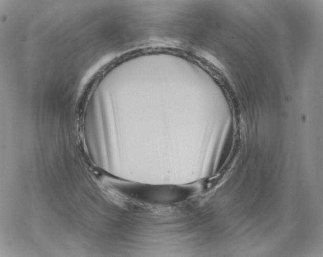 X0000069391310200606091706