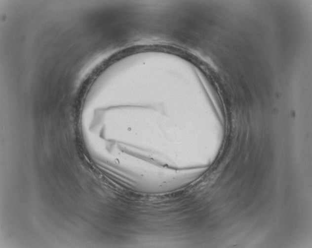 X0000069391311200606091706