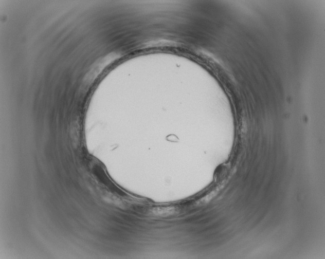 X0000069391313200606091706