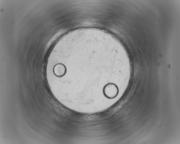 X0000069391314200606091706