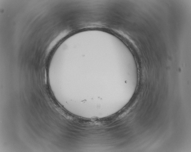 X0000069391317200606091706