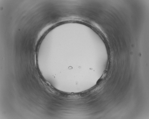 X0000069391320200606091707