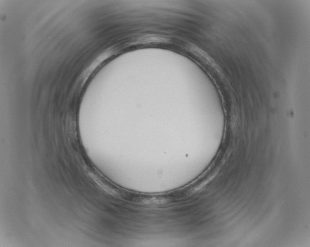 X0000069391321200606091707