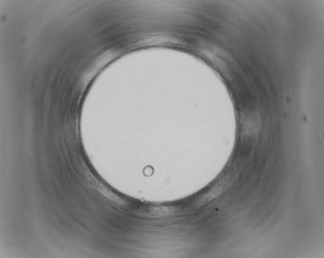 X0000069391322200606091707