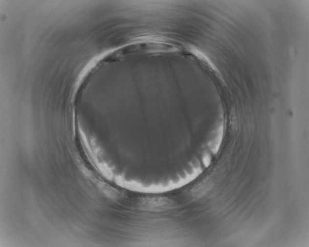 X0000069391323200606091707