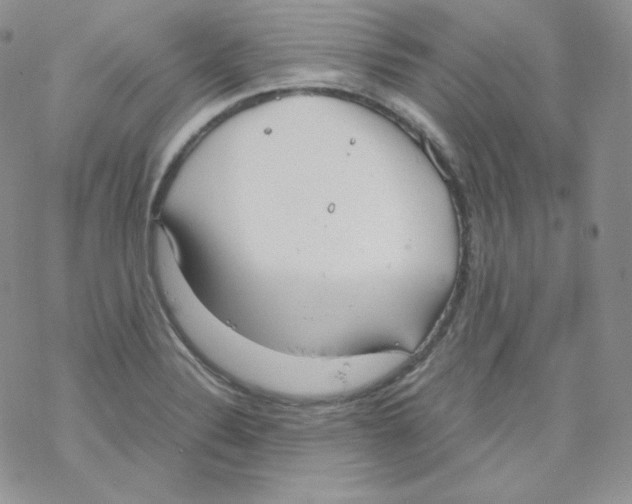 X0000069391324200606091707