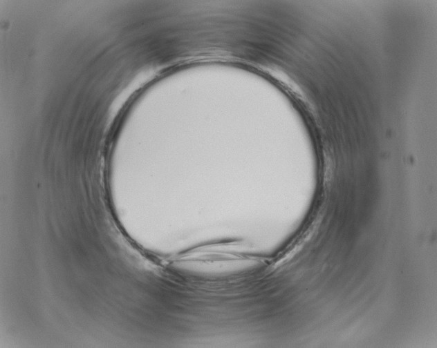 X0000069391325200606091707